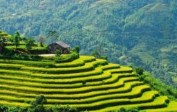 vẻ đẹp hùng vĩ của ruộng bậc thang hà giang